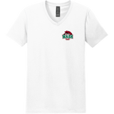 Wash U Softstyle V-Neck T-Shirt