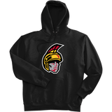 Seacoast Spartans (Ice Hockey) Super Heavyweight Fleece Hoodie