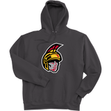 Seacoast Spartans (Ice Hockey) Super Heavyweight Fleece Hoodie