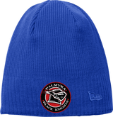 Palmyra Black Knights New Era Knit Beanie